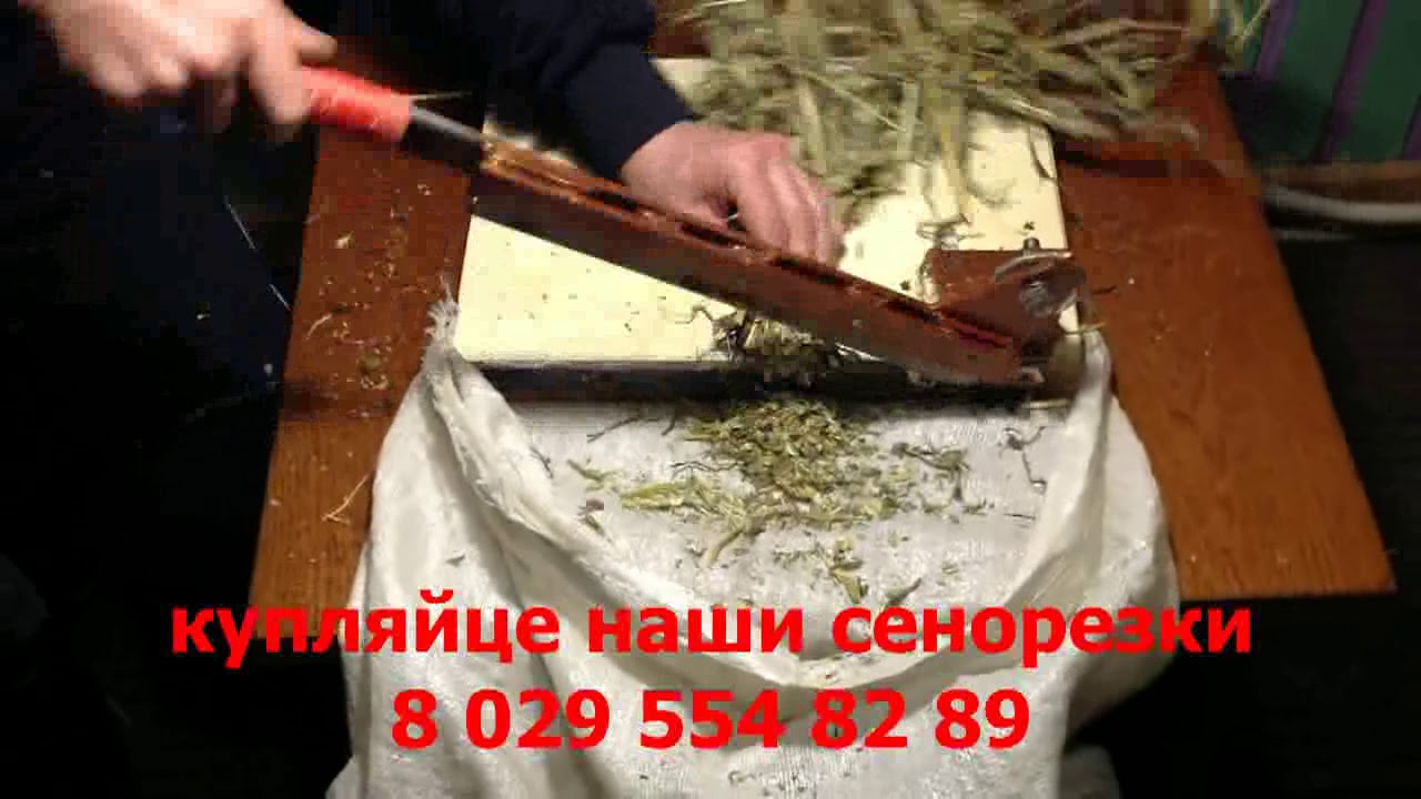 Сенорезка - YouTube