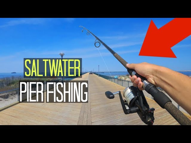 Saltwater Pier Fishing!! (This is Why I Love Saltwater Fishing) 