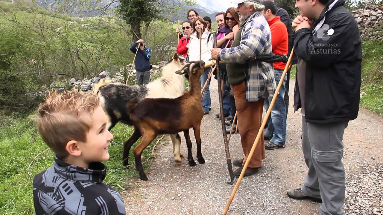 Rutas con mucho gusto en Asturias: Ruta del Quesu y la Sidra