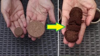 Pastilles de coco et pots biodégradables pour vos semis | Potting soil tablets and seedlings pots