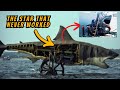 12 BIZARRE Facts About JAWS 1975 You Never Noticed