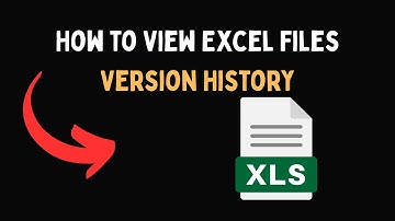 How to View Excel Files Version History