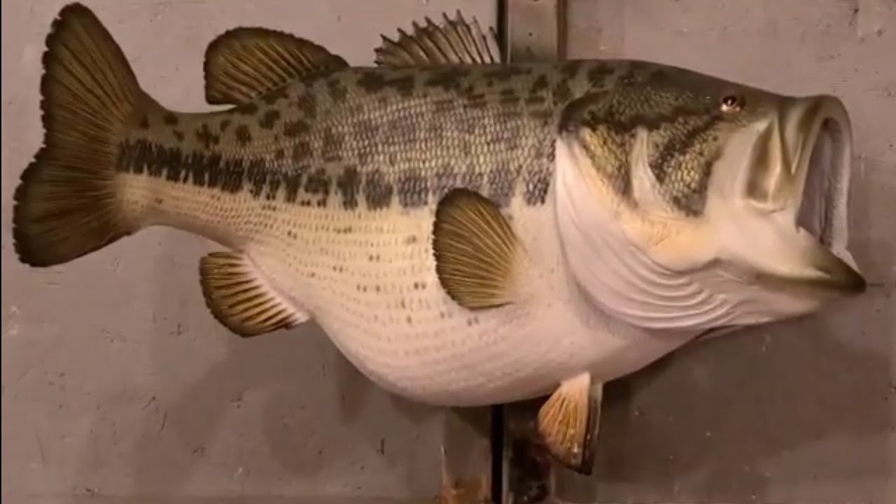 How to Paint a Replica Largemouth Bass