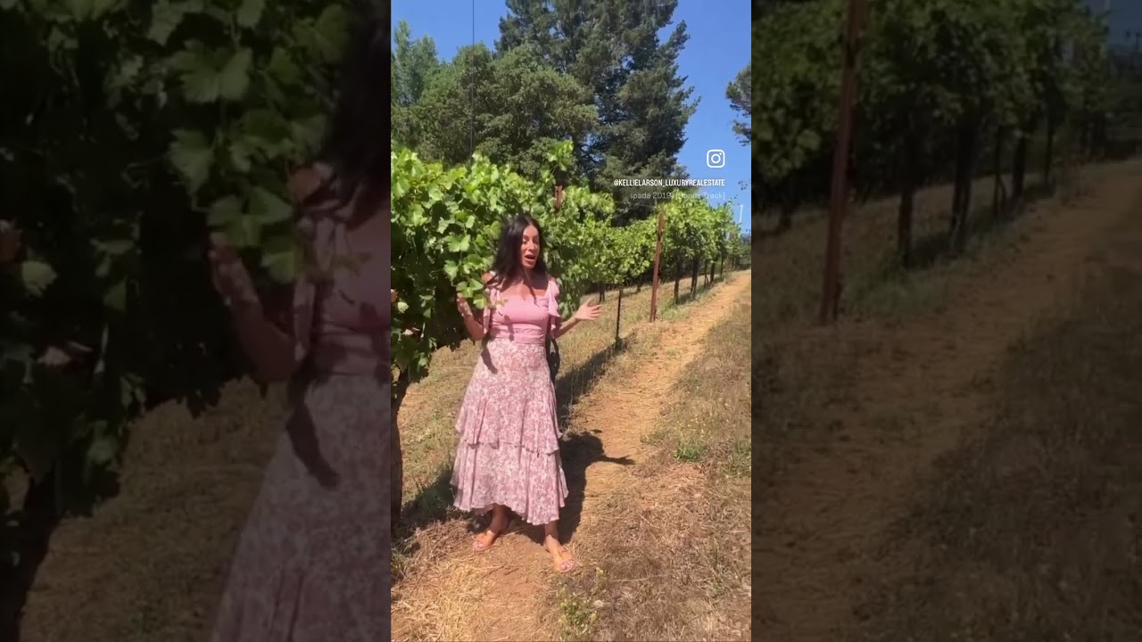 Luxury Healdsburg Home with vineyard views & 6.6 acres just minutes from Healdsburg by Kellie Larson