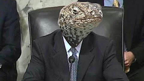 They are truly cold-blooded...