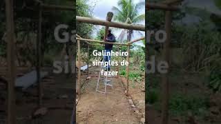 Como Construir Um Galinheiro Simples