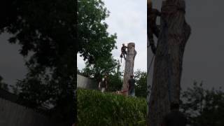 TREE FAIL - WOOD FALLS ON ROPE - PORT A WRAP - BIG RIGGING
