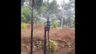 Video Tưới Thực Tế Đầu Tiên Của Béc Tưới G9 Cho 200 Cây Ăn Trái