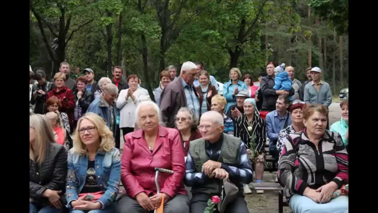 День поселка волга