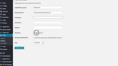Add and remove administrator user on WordPress when using IDX Broker
