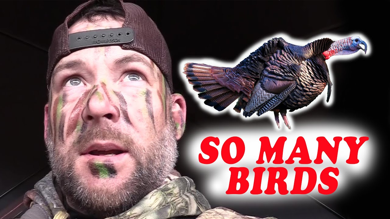 Another AMAZING KANSAS TURKEY HUNT!!! (So Many Birds!) YouTube