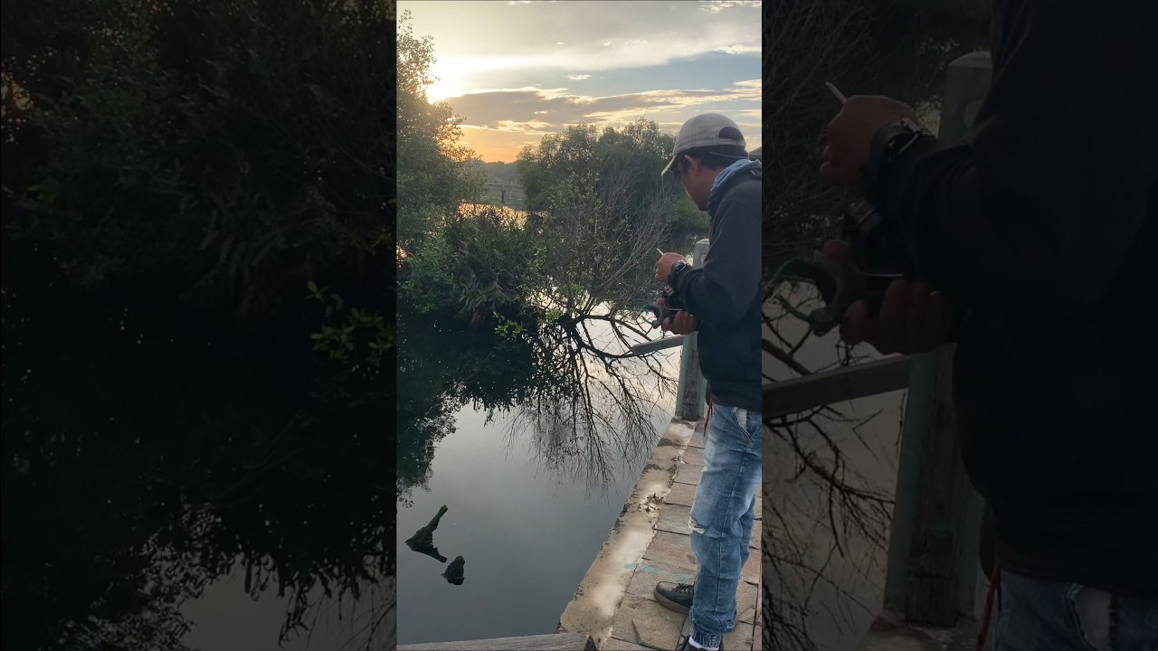 🔥sunrise time to hunt fish 🌞🎯🐟