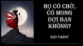 HỌ CÓ CHỜ, CÓ MONG ĐỢI BẠN KHÔNG?