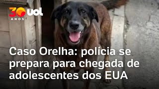 Caso Cão Orelha Polícia Reforça Segurança Em Aeroporto Para Chegada De Adolescentes Dos Eua