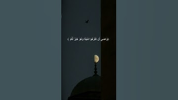 ‏لنا في كل جمعة ثلاث رحمات الصلاة على النبيّ ﷺوقراءة سورة الكهف وكنز ينتظرنا قبل المغيب دعوة مستجابة