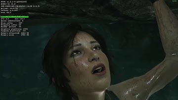 Shadow of the Tomb Raider #1 | Linux  / ACO (new Mesa shader compiler)