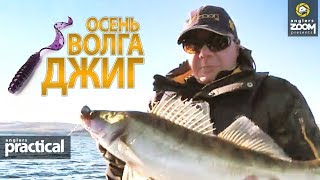 СУДАК с каждого заброса! ДЖИГ. Осень. Волга.  А.Соглаев. Anglers Practical