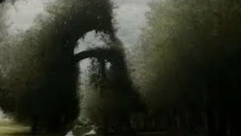 XXL XXL XXL XXL FREESTYLE 2024 💕 |XXL 2025 | Xxwd5000xa | XXL XXL XXL XXL FREESTYLES