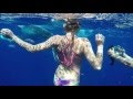 Swimming with Whales in Tonga