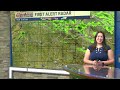 Clouds will clear as we go throughout the day... Tori Alvarado's First Alert Weather Forecast 2/9...
