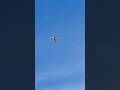 Skywing Extra NG #skywing #rcplane