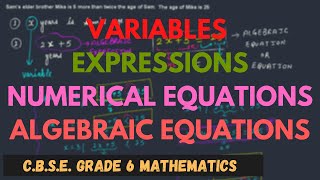 Variables, Expressions, Numerical Equations & Algebraic Equations || C.B.S.E. Grade 6 Mathematics