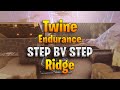 Ridge Amplifier Build for Twine Peaks Endurance AFK -  Step By Step