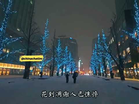 《九百九十九朵玫瑰》玫瑰落日微醺完整版