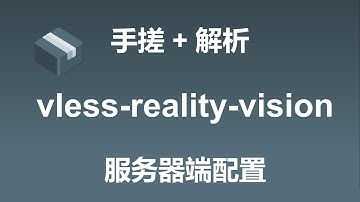 手搓+解析 vless-reality-vision服务器配置 | sing-box | caddy | 偷自己证书