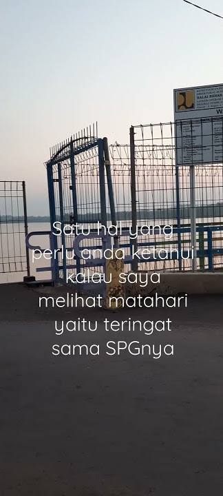 Story WA kata-kata lucu, lagu 'jang ganggu' Cover (Arlida Putri & Lala Widi)