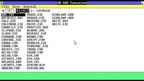 How to install MS-DOS 3.31 and Windows 1.01 in VirtualBox (Read Description)
