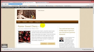 BYOB Custom Excerpt Box for Thesis 2.1
