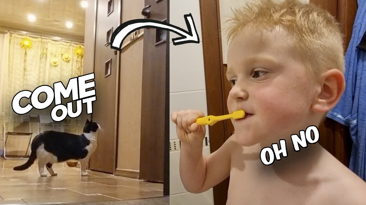 Why Does The Cat Sit Next To The Bathroom Door Every Evening YouTube Why Does The Cat Sit Next To The Bathroom Door Every Evening YouTube