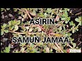ASIRIN SAMUN JAMA A MUJARRABI ASIRIN SAMUN JAMA A MUJARRABI