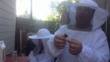 Installing Bees in the new Top Bar hive