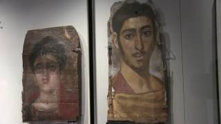Ashmolean Tours