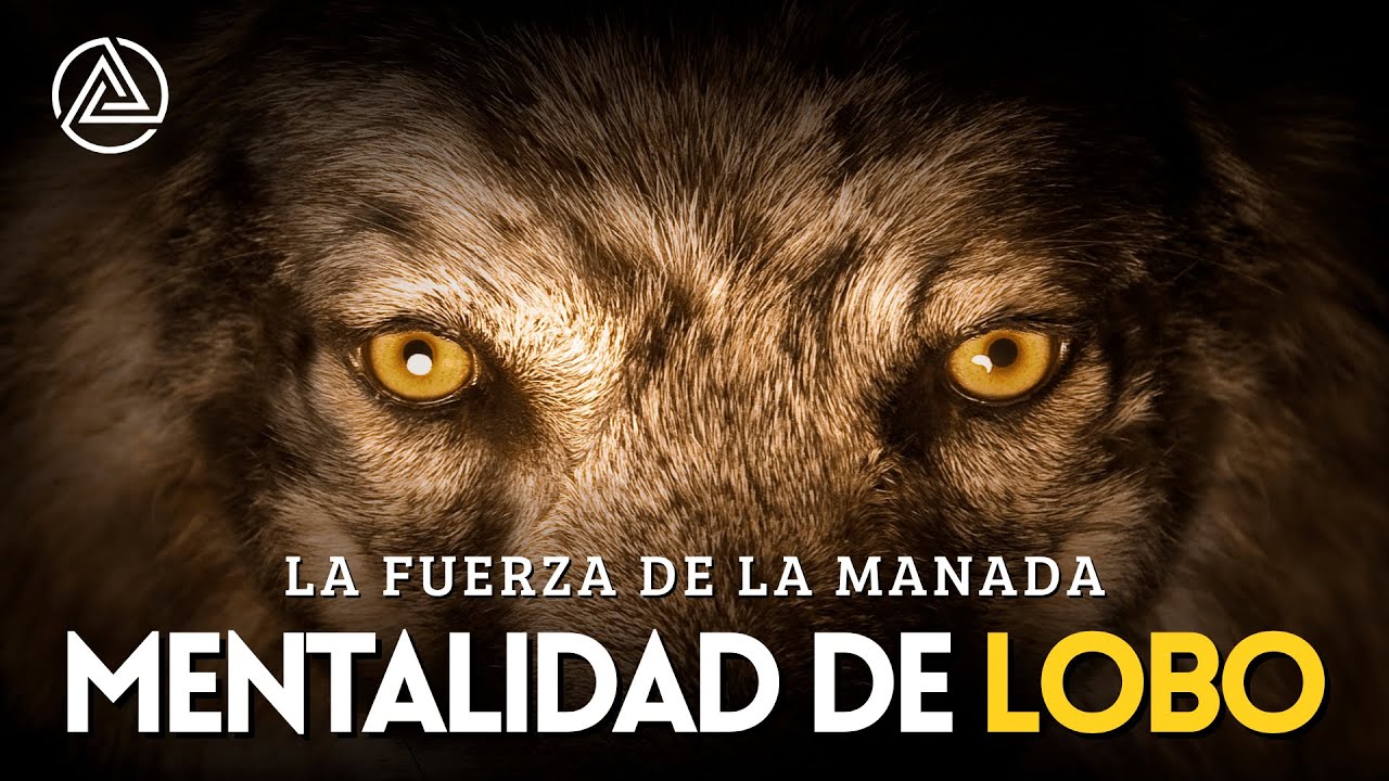 La Mentalidad de Lobo - El Mejor Video Motivador