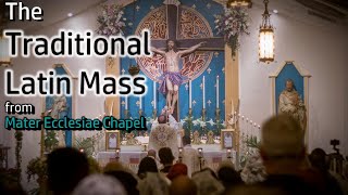 7th Sunday after Pentecost - Traditional Latin Mass | July 11, 2021