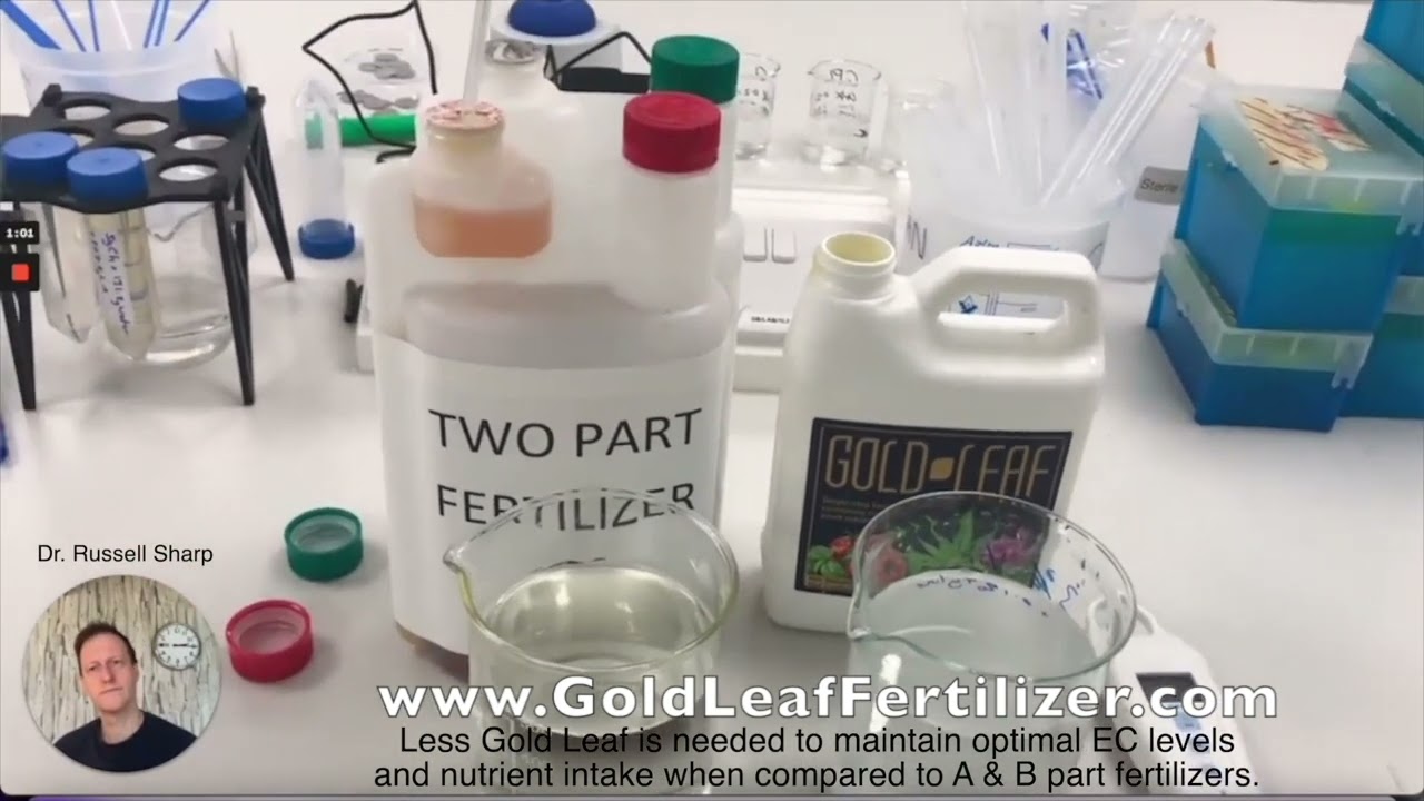 The importance of EC levels when growing - Gold Leaf