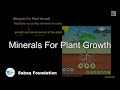 Minerals For Plant Growth, General Science Lecture | Sabaq.pk