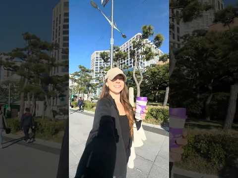 seed.com YouTube ad: simple gut health for the busy girls 🌱 #reset #guthealth #travelhack
