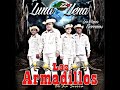 LOS ARMADILLOS DE LA SIERRA MIX BY DJ IZZY