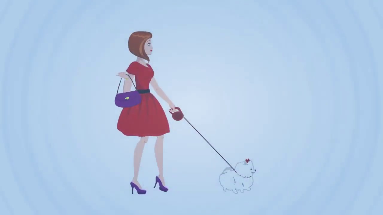 Riverside Pet Grooming 2018 YouTube