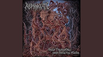Decomposing Organs