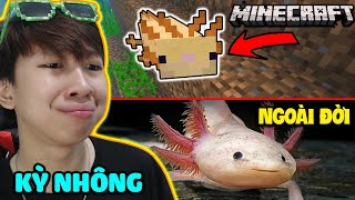 Kỳ Nhông Xuất Hiện Trong Phiên Bản 1.17 😨 || Vinh So Sánh Giữa Ngoài Đời  Và Trong Game Minecraft - Youtube