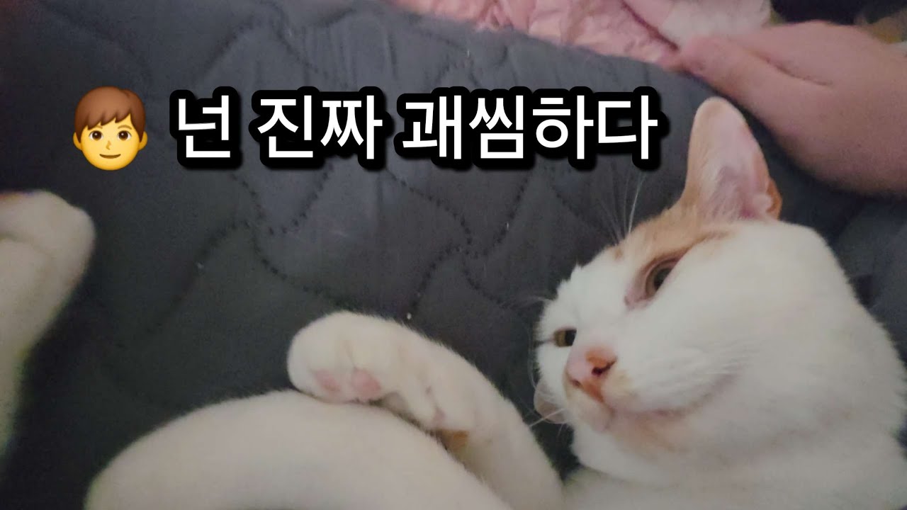 자는척하는거보면 연기자하면되겠다