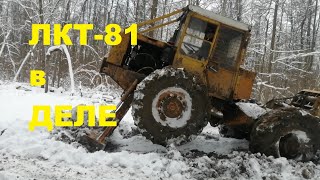 Трактор трелевочный LKT-81 за работой| как делают дорогу для лесовозов