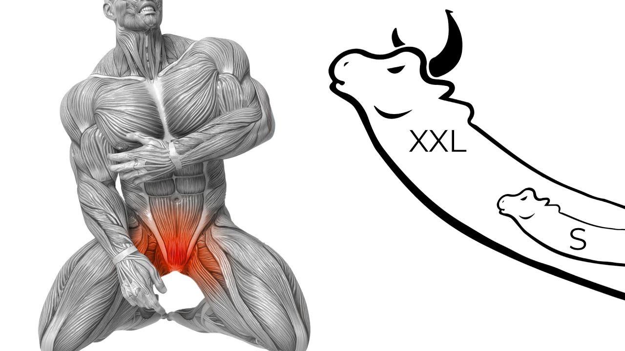 Упражнение по западной философии! Если хотите получить пользу, делайте это каждый день