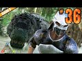 Teaming Up to Take Down the ALPHA!!  |  Part 36  |  ARK: Survival Evolved [Co-Op Season 8]