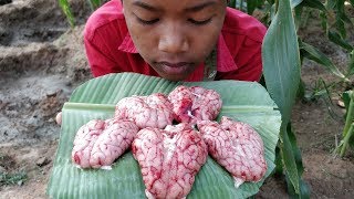 Pig Brain Soup Recipe / Delicious Pig Brain Cooking With Mushroom